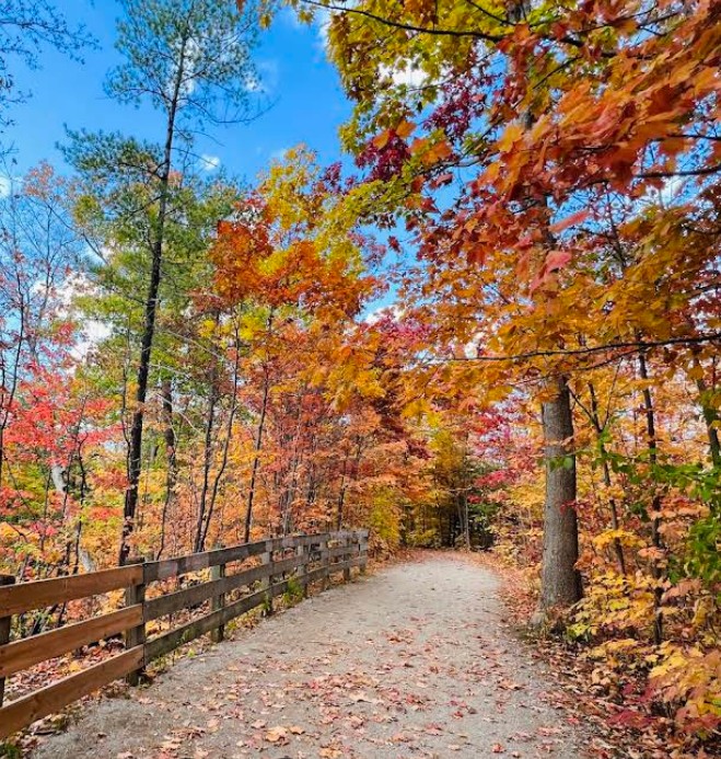 Oakville Parks, Trails & Greenery Near Preserve North
